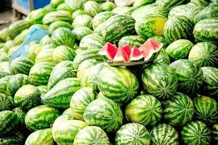 每日大赛吃瓜黑料免费,揭秘幕后真相，带你领略娱乐圈风云变幻