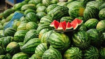 每日大赛吃瓜黑料每日,吃瓜黑料背后的真相与反思